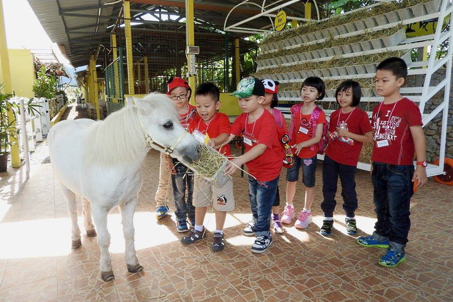 Countryside Stables penang