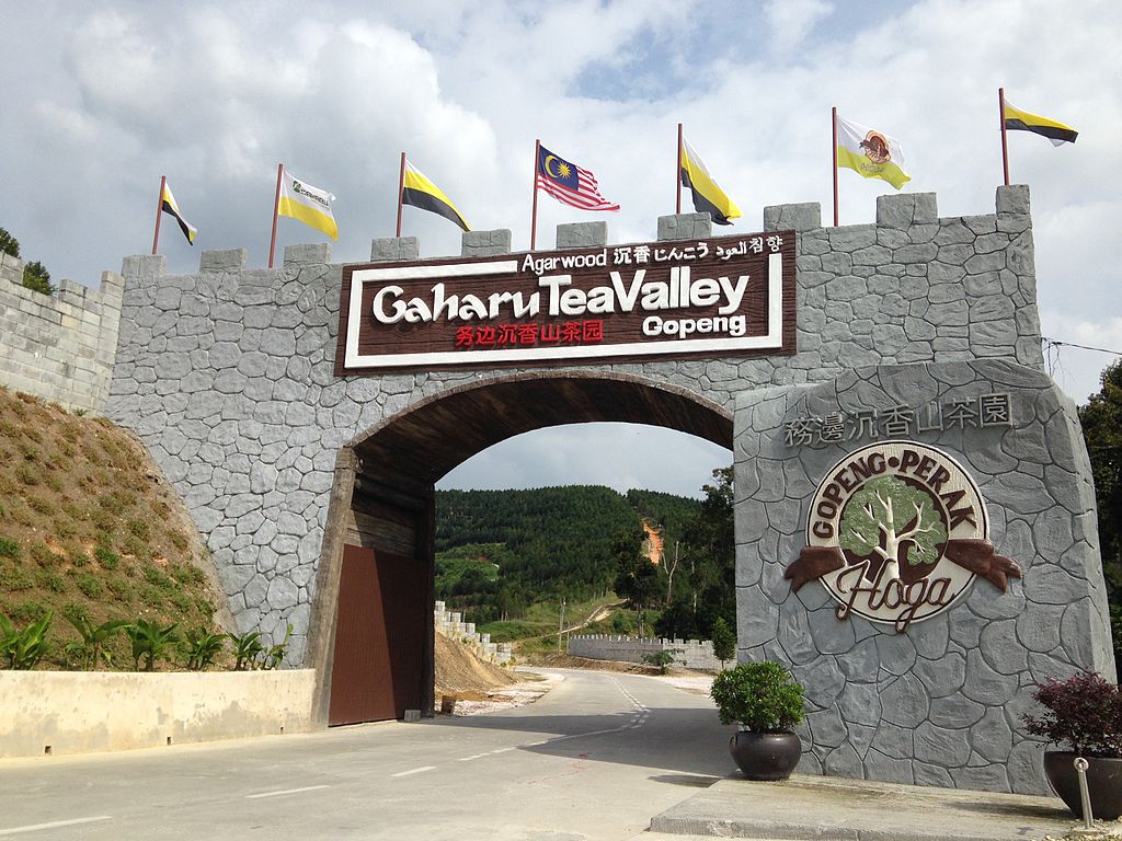 Harga Tiket Gaharu Tea Valley Utk 2019 + Beli Online
