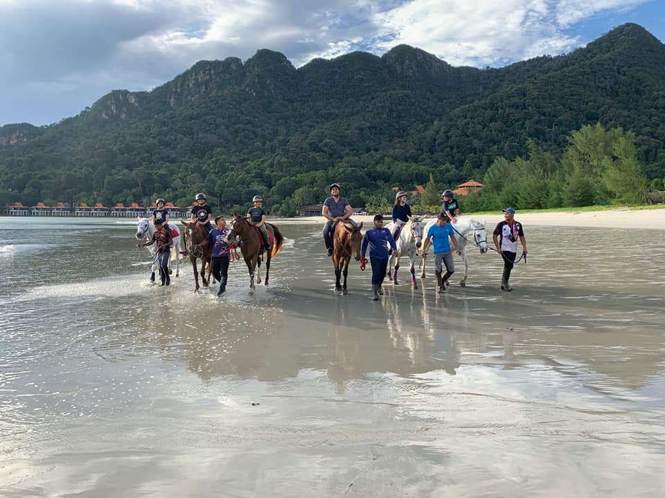 island horses langkawi