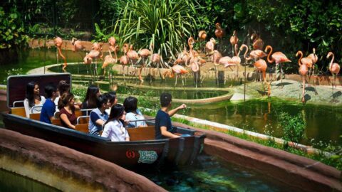 River Safari - tarikan best & cantik di singapura