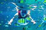 tengok ikan dengan pakej snorkeling pulau payar langkawi