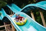 sunway lagoon theme park ticket