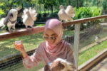 taman burung pulau pinang - tempat menarik di penang untuk kanak kanak