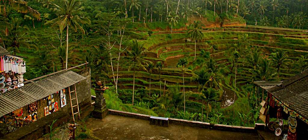 Tegalalang - tempat menarik wajib pergi di Bali