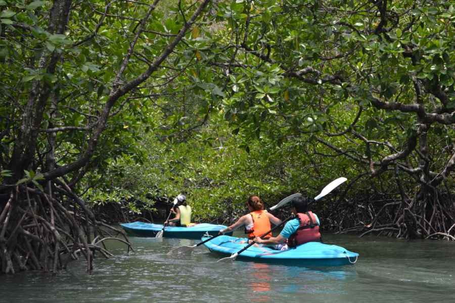 langkawi kayak