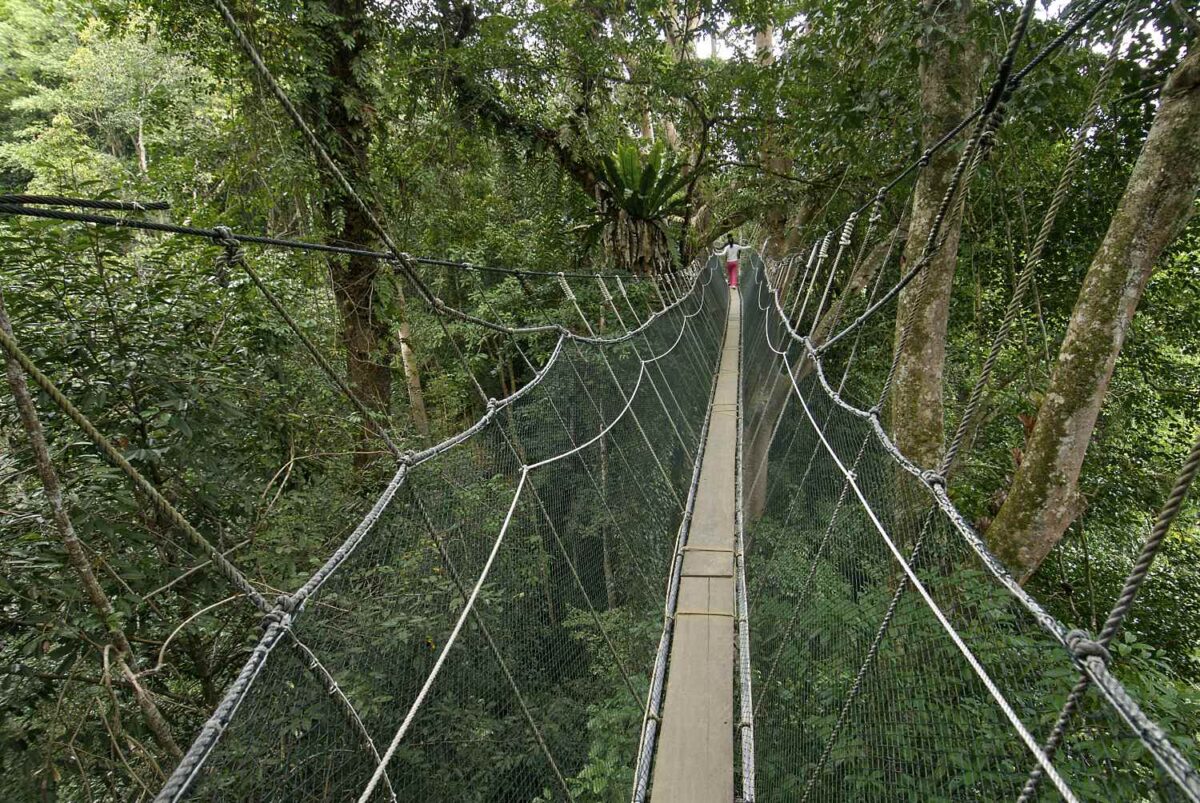 Harga Tiket Jambatan Gantung Poring 2019 & Peta Ke Sini