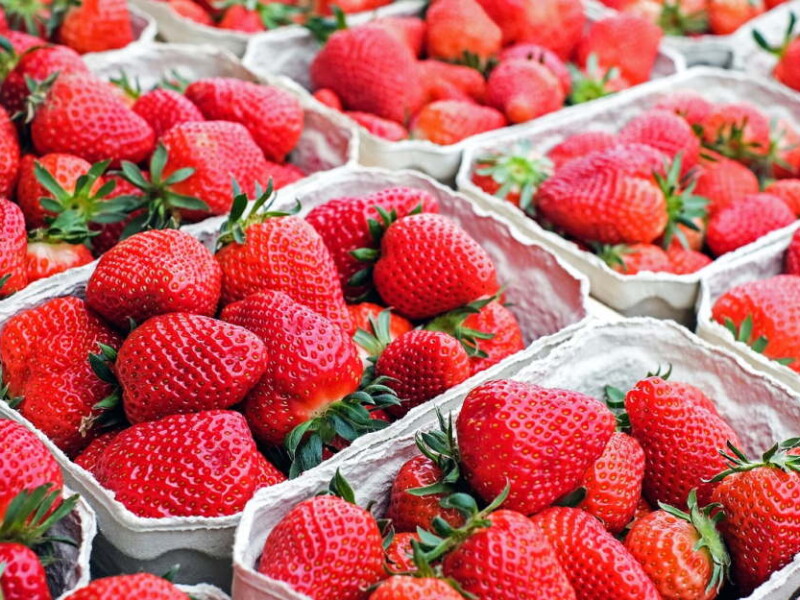 tips beli strawberry cameron highlands - tempat beli, tempat petik dan cara simpan