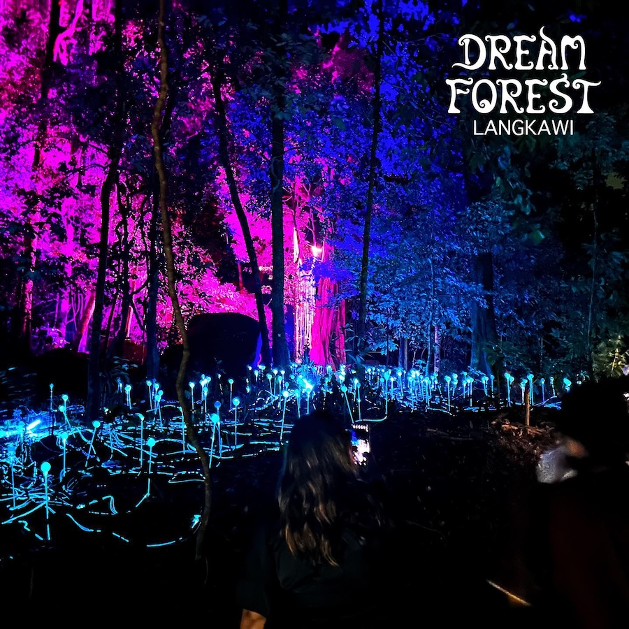 led dream forest