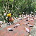 beri makan burung seperti petting zoo di taman burung kl