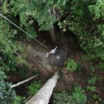 umgawa langkawi tree fall