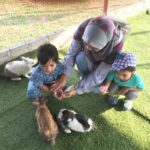 melaka wonderland rabbit