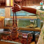 pasar malam batu feringghi lobster