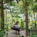 pulau pinang the habitat bukit bendera