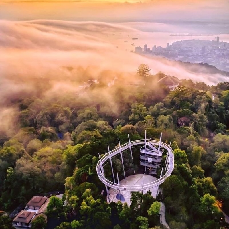 the habitat pulau pinang main tarikan semulajadi di penang - the habitat