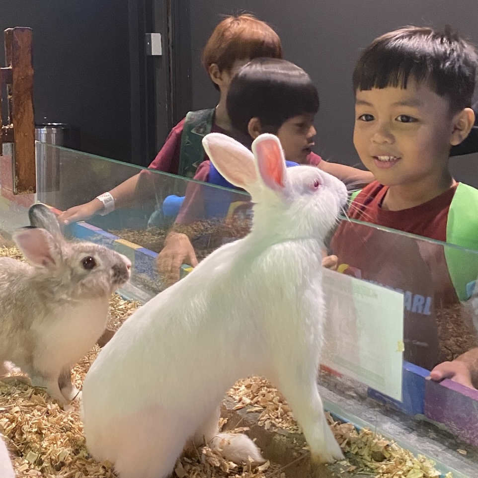 ioi city farm