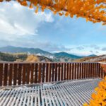 flora park cameron view