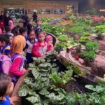 ioi city farm plants