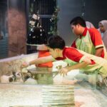 ioi putrajaya rabbit