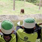 lok kawi orang utan2