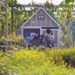 mardi cameron highlands family photos