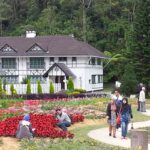 mardi cameron highlands park 2