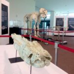 muzium alam semulajadi putrajaya