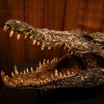 muzium negeri sarawak croc