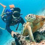 pompom island sabah @bakizainal