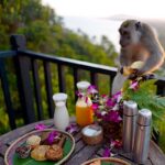 rasa ria lookout monkey