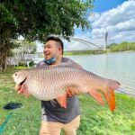 sisiran floria ikan 2