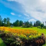 taman saujana putrajaya flowers