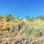 tegudon sabah grasshill