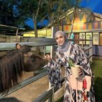 aurora park pd petting zoo