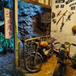 cultural village ipoh motor