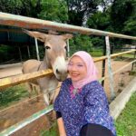 pd ostrich farm donkey