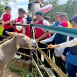 pd ostrich farm donkey feed