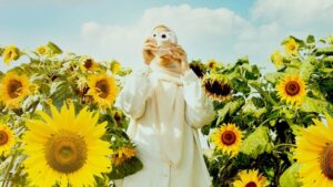 sunflower garden
