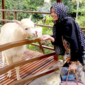 mini zoo menara kuala lumpur @firegoddess_
