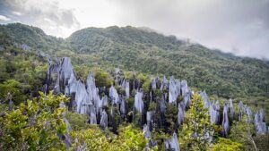 gunung mulu national park