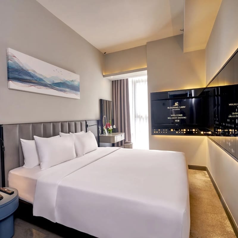 sleeping lion suites